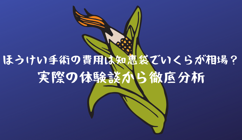 ほうけい手術の費用は知恵袋でいくらが相場？実際の体験談から徹底分析